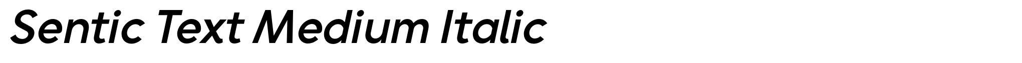 Sentic Text Medium Italic image